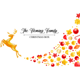 Christmas Box - Flying Reindeer Design