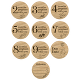 Pregnancy Milestone Discs