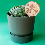 Plant stake Personalised plant stake Teacher gift Teacher stake Plant gift Plant present Appreciation gift Personalised gift Plant stake drawing Design your own plant stake Plant pot Pot plant Pot pant gift Thanks for helping me grow Personalised pot plant 