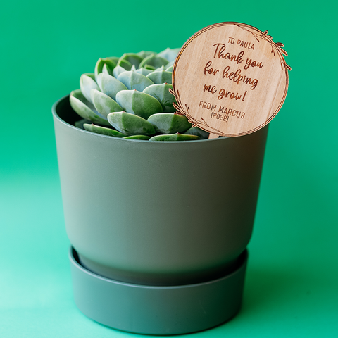 Plant stake Personalised plant stake Teacher gift Teacher stake Plant gift Plant present Appreciation gift Personalised gift Plant stake drawing Design your own plant stake Plant pot Pot plant Pot pant gift Thanks for helping me grow Personalised pot plant 