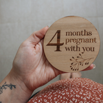 Samantha Pregnancy Milestone Discs