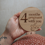 Pregnancy Milestone Discs